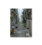 もふもふ達とOKINAWAの風景（個別スタンプ：2）