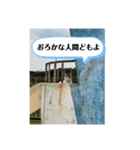 もふもふ達とOKINAWAの風景（個別スタンプ：5）