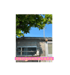 もふもふ達とOKINAWAの風景（個別スタンプ：6）