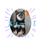 うちの幸(コウ)は、やっぱり宇宙いち❤️（個別スタンプ：6）