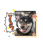 うちの幸(コウ)は、やっぱり宇宙いち❤️（個別スタンプ：7）