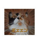 mimiのLINEスタンプ（個別スタンプ：1）