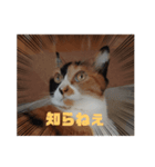 mimiのLINEスタンプ（個別スタンプ：3）