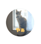 mimiのLINEスタンプ（個別スタンプ：4）