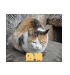 mimiのLINEスタンプ（個別スタンプ：7）