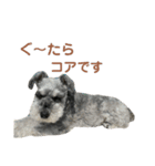毎日ぐ〜たらしてます（個別スタンプ：1）