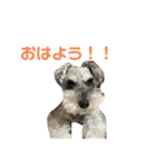 毎日ぐ〜たらしてます（個別スタンプ：2）
