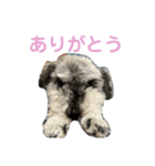 毎日ぐ〜たらしてます（個別スタンプ：4）