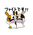 みけうさ、敬語を使う。（個別スタンプ：22）