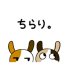 みけうさ、敬語を使う。（個別スタンプ：38）