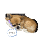 おデブのレオくん（個別スタンプ：1）