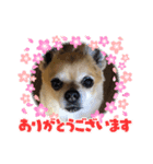 おデブのレオくん（個別スタンプ：7）