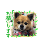 おデブのレオくん（個別スタンプ：8）