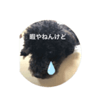 dog and  CAT 071（個別スタンプ：5）
