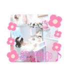 ひなふーた✩.*˚（個別スタンプ：12）