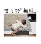 ひなふーた✩.*˚（個別スタンプ：13）