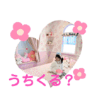 ひなふーた✩.*˚（個別スタンプ：20）