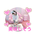 ひなふーた✩.*˚（個別スタンプ：23）