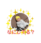ひなふーた✩.*˚（個別スタンプ：33）