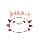 ほのぼのウーパールーパー【ウパだより】（個別スタンプ：1）