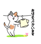 三毛猫 みーなさんの敬語スタンプ2（個別スタンプ：1）