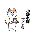 三毛猫 みーなさんの敬語スタンプ2（個別スタンプ：16）