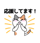 三毛猫 みーなさんの敬語スタンプ2（個別スタンプ：20）