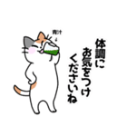 三毛猫 みーなさんの敬語スタンプ2（個別スタンプ：22）