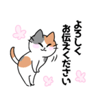 三毛猫 みーなさんの敬語スタンプ2（個別スタンプ：24）