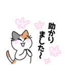 三毛猫 みーなさんの敬語スタンプ2（個別スタンプ：25）