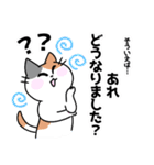 三毛猫 みーなさんの敬語スタンプ2（個別スタンプ：35）