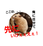 ゆかいなハムスターライフ（個別スタンプ：7）