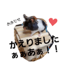 ゆかいなハムスターライフ（個別スタンプ：11）