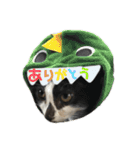 ハチワレホクロ猫のレトくん（個別スタンプ：21）