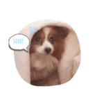 愛犬ミルクちゃんのスタンプ（個別スタンプ：3）