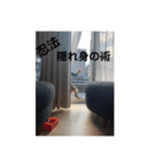 ほっちゃんりっくん（個別スタンプ：22）