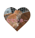 ぺろちゃんのおうち（個別スタンプ：23）
