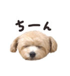 アリーの日常2（個別スタンプ：11）