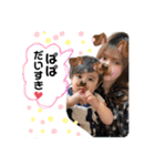 kuroiwa fam（個別スタンプ：13）
