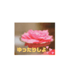 kokoro friend（個別スタンプ：1）