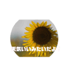 kokoro friend（個別スタンプ：4）
