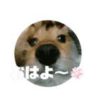 kokoro friend（個別スタンプ：8）