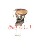 うちのうさぎ！（個別スタンプ：12）