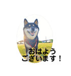うちの幸(コウ)は、宇宙一やっ❤️（個別スタンプ：1）