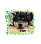うちの幸(コウ)は、宇宙一やっ❤️（個別スタンプ：4）