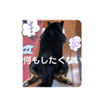 うちの幸(コウ)は、宇宙一やっ❤️（個別スタンプ：8）