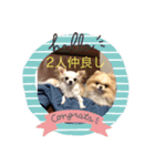 さくらスタンプin櫻井家（個別スタンプ：3）
