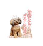 そら豆の友達（個別スタンプ：1）