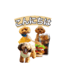 そら豆の友達（個別スタンプ：2）