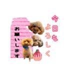 そら豆の友達（個別スタンプ：3）